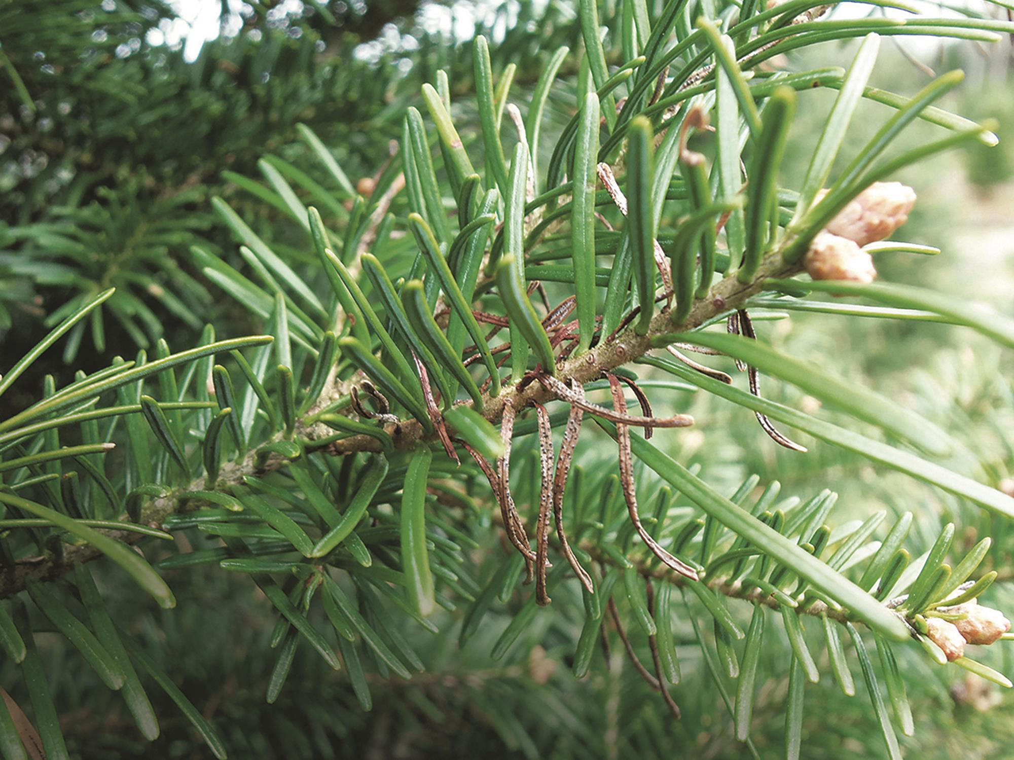 Club agroenvironnemental de l'Estrie