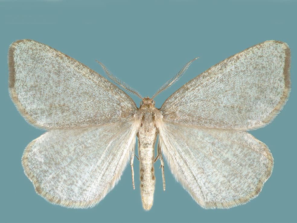 Jean-François Landry - AAC