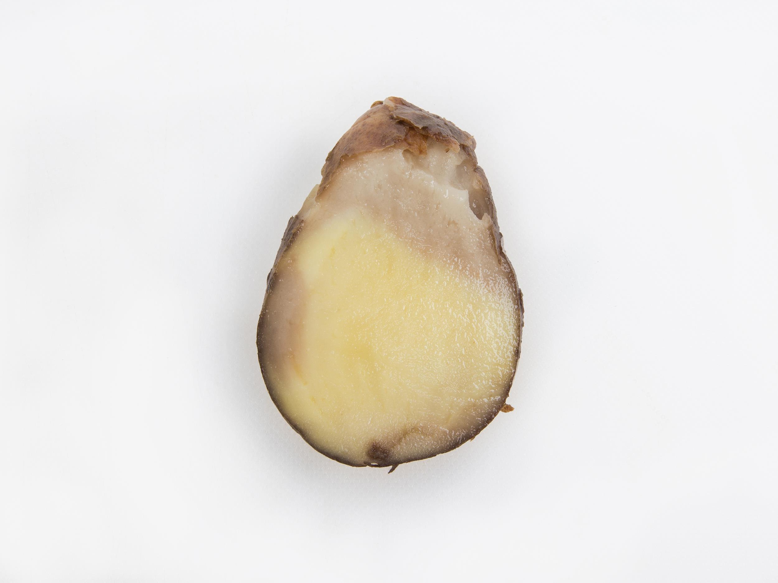 Laboratoire d'expertise et de diagnostic en phytoprotection - MAPAQ