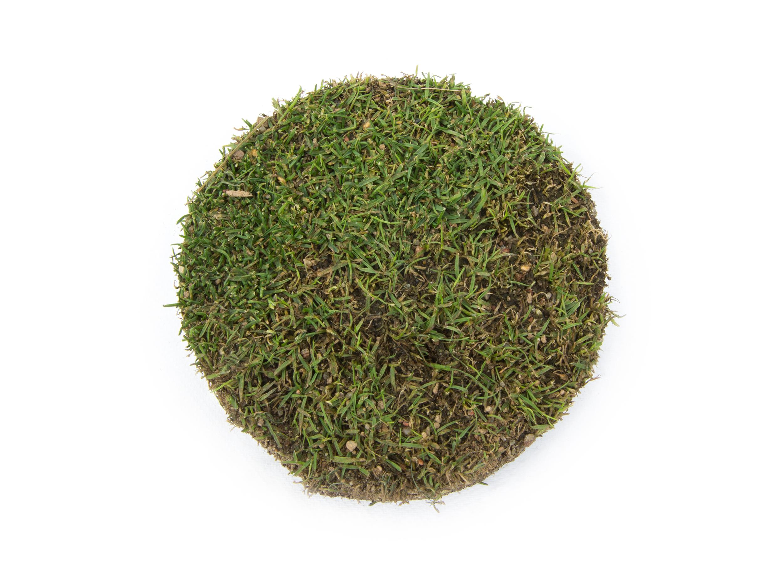 Laboratoire d'expertise et de diagnostic en phytoprotection - MAPAQ