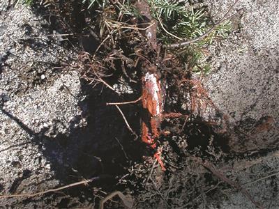 MAPAQ Estrie