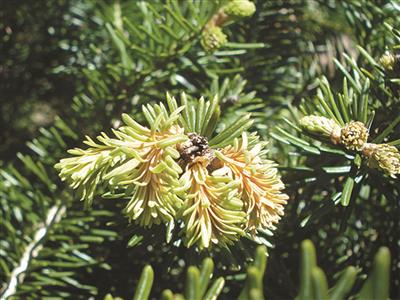Club agroenvironnemental de l'Estrie