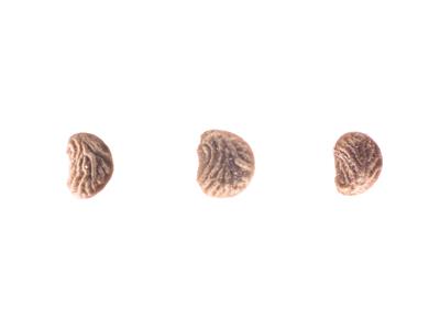 Laboratoire d'expertise et de diagnostic en phytoprotection - MAPAQ