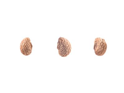 Laboratoire d'expertise et de diagnostic en phytoprotection - MAPAQ