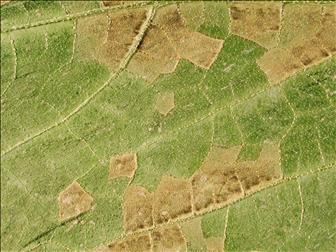 Laboratoire d'expertise et de diagnostic en phytoprotection - MAPAQ