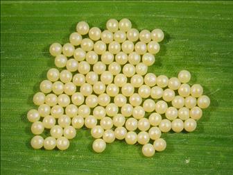 Laboratoire d'expertise et de diagnostic en phytoprotection - MAPAQ