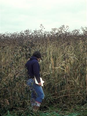 Laboratoire d'expertise et de diagnostic en phytoprotection - MAPAQ
