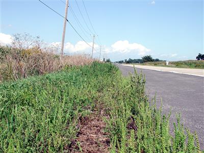 Laboratoire d'expertise et de diagnostic en phytoprotection - MAPAQ