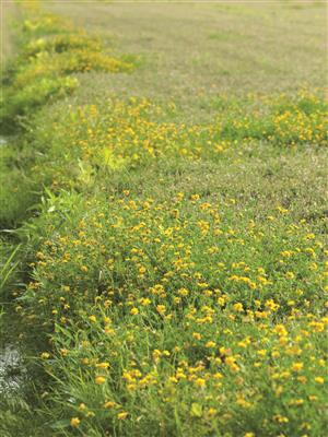 Laboratoire d'expertise et de diagnostic en phytoprotection - MAPAQ