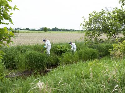 Laboratoire d'expertise et de diagnostic en phytoprotection - MAPAQ