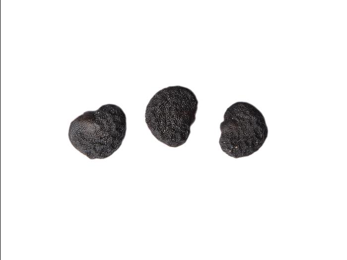 Stramoine commune(Datura stramonium)_21