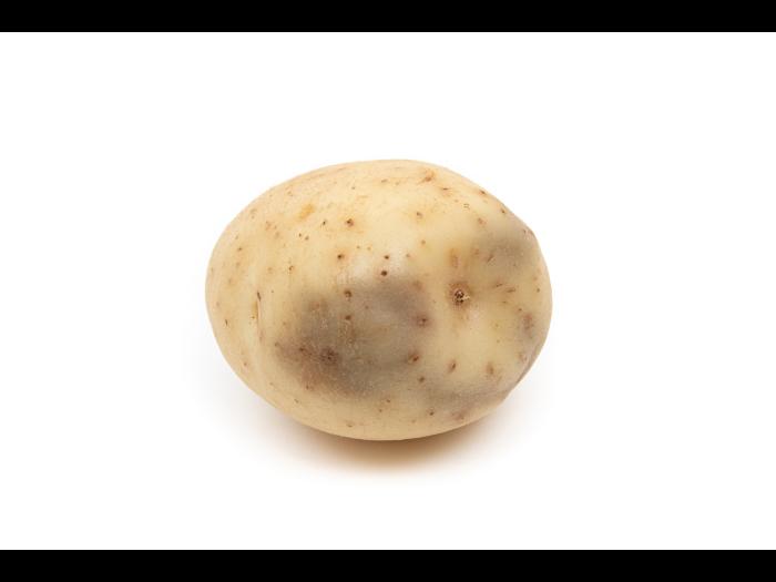 Pomme de terre - Verticilliose  (Verticillium dahliae)