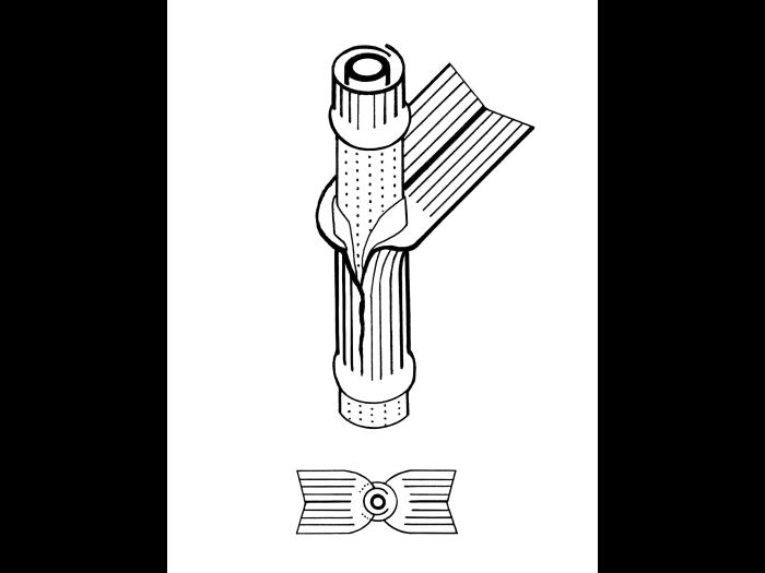 Identification_TigeGraminee