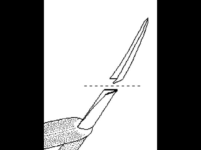 Identification_FeuillePliee