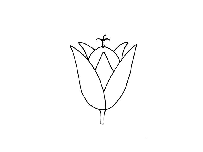 Identification_InflCapsule