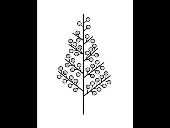 Identification_InflPanicule