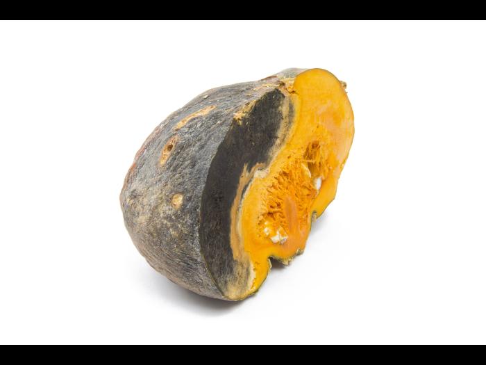 courge_stag_cucu_55846e_ad_iriis