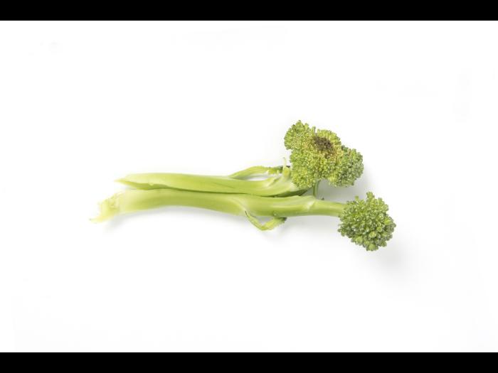 Brocoli - Tache noire alternarienne (Alternaria brassicicola)